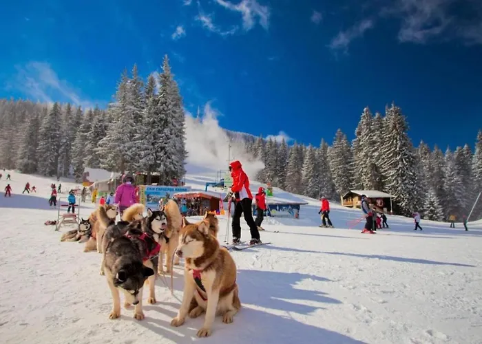 Grand Monastery Deluxe 5 B 3 Apartament Pamporowo