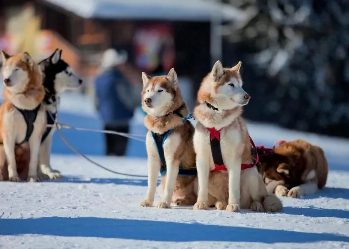 Apartament Grand Monastery Deluxe 5 B 3 *